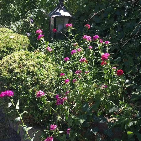 Apartment - Henriettenhof *