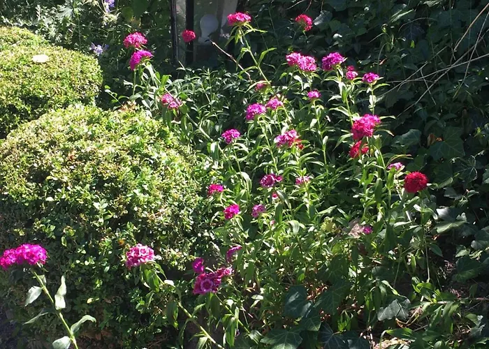 Apartment - Henriettenhof *